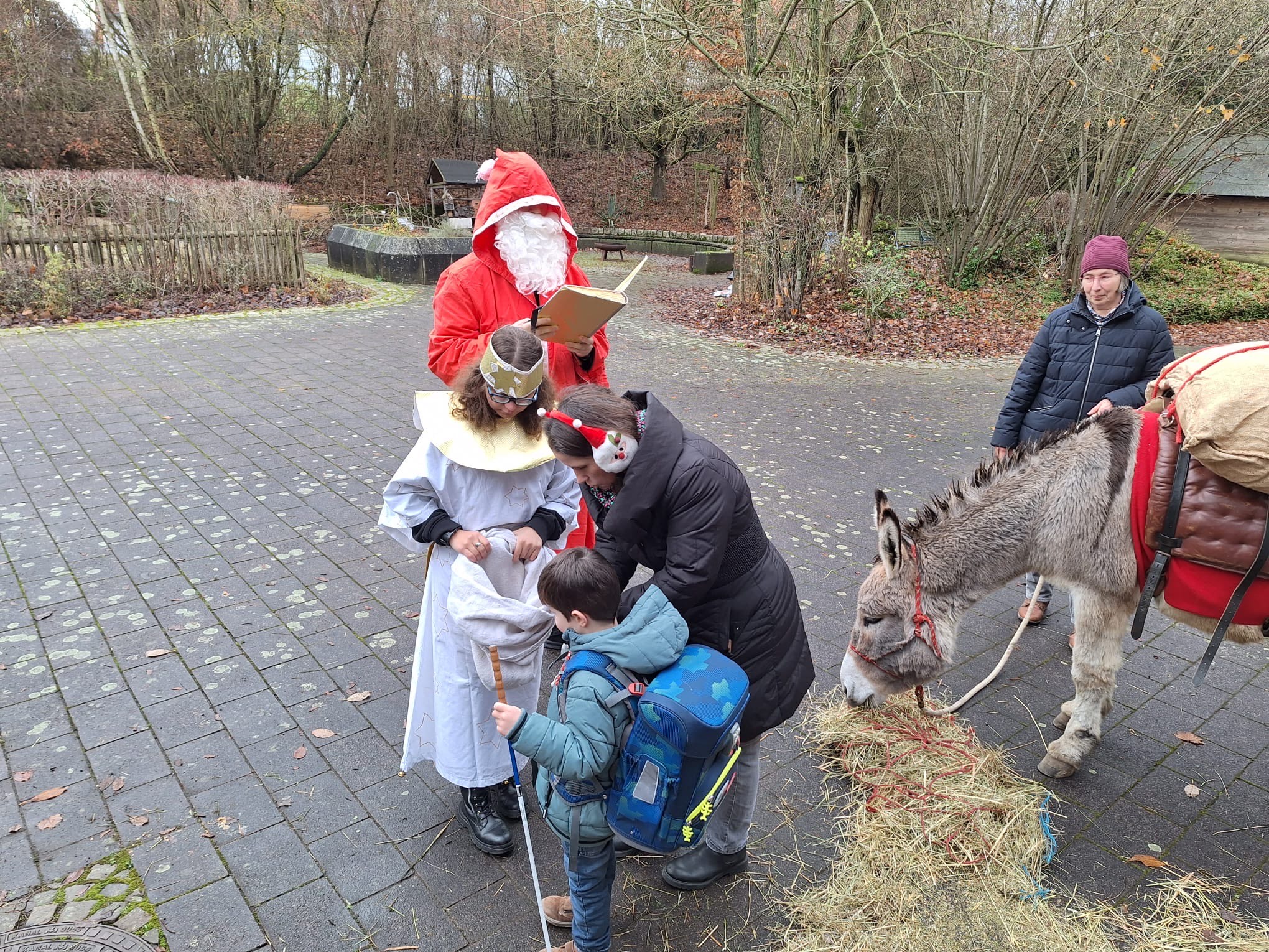 Bild2