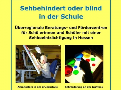 Netzwerk Sehen
